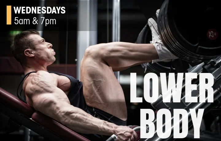 lower-body